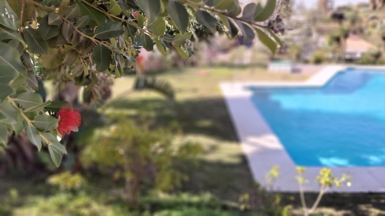 Апартаменти Del Parque Flats Interpares Swimmingpool Малага Екстер'єр фото